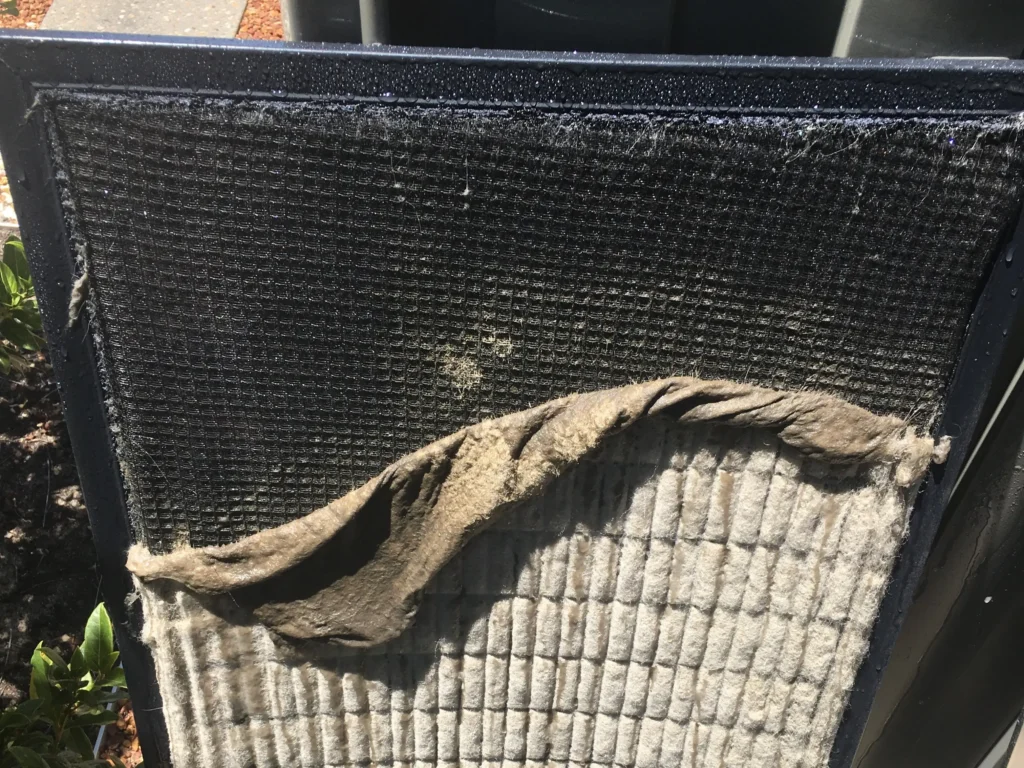 Dirty Filters with pets